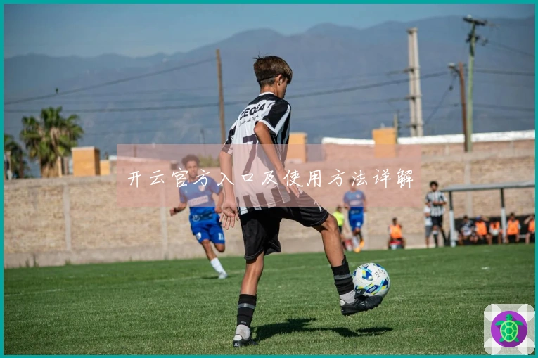 开云官方入口及使用方法详解